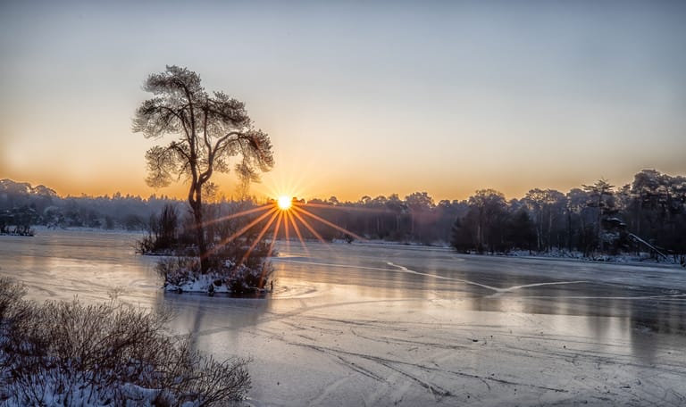 Winter in de Oisterwijkse Bossen en Vennen