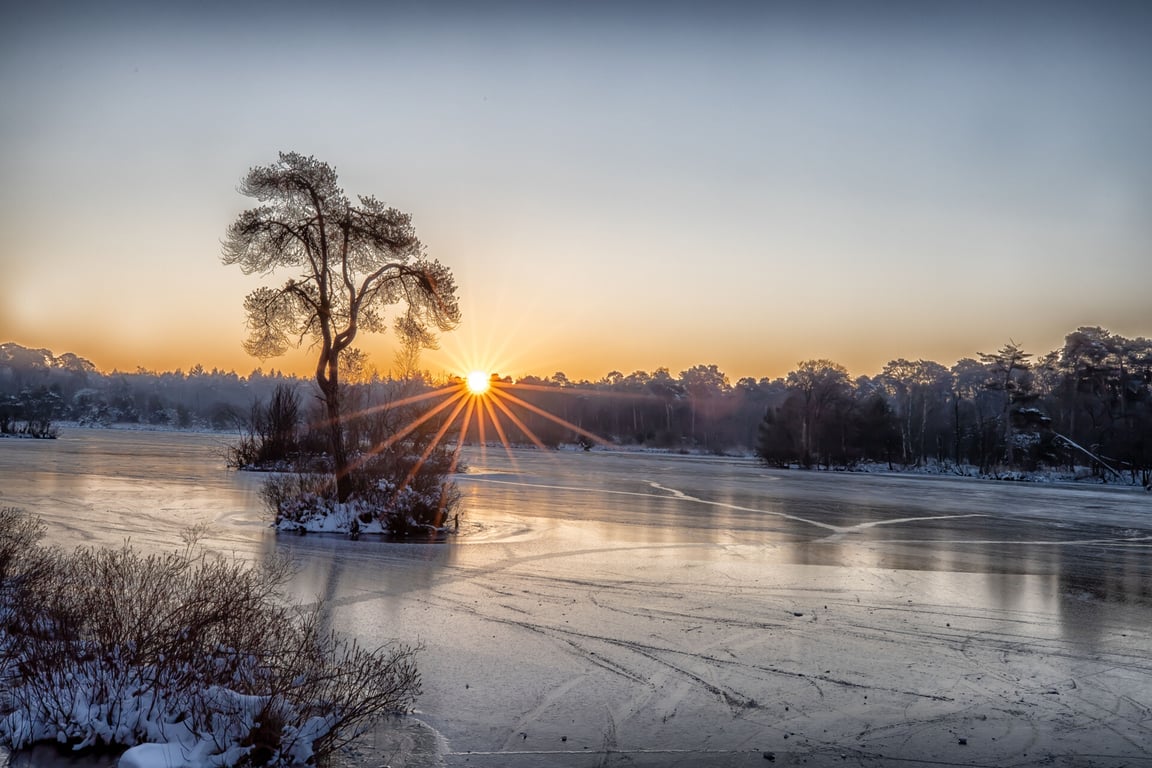 Winterrust in de Oisterwijkse Bossen en Vennen