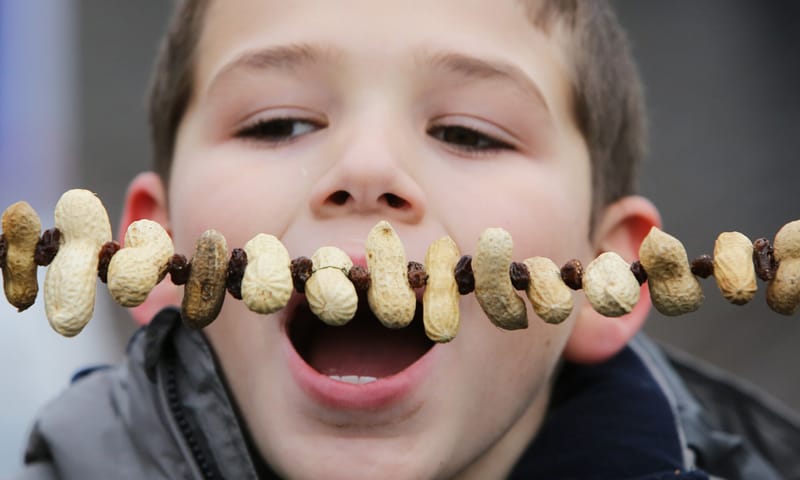 Jongen doet mond open bij pindaslinger voor vogels