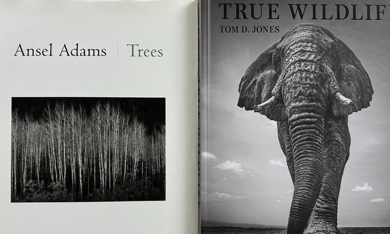 Inspiratie boek Wild Life