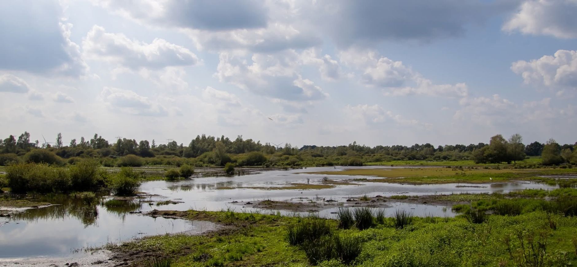 Overstromingsvlakte Kampina Overstromingsvlakte Kampina
