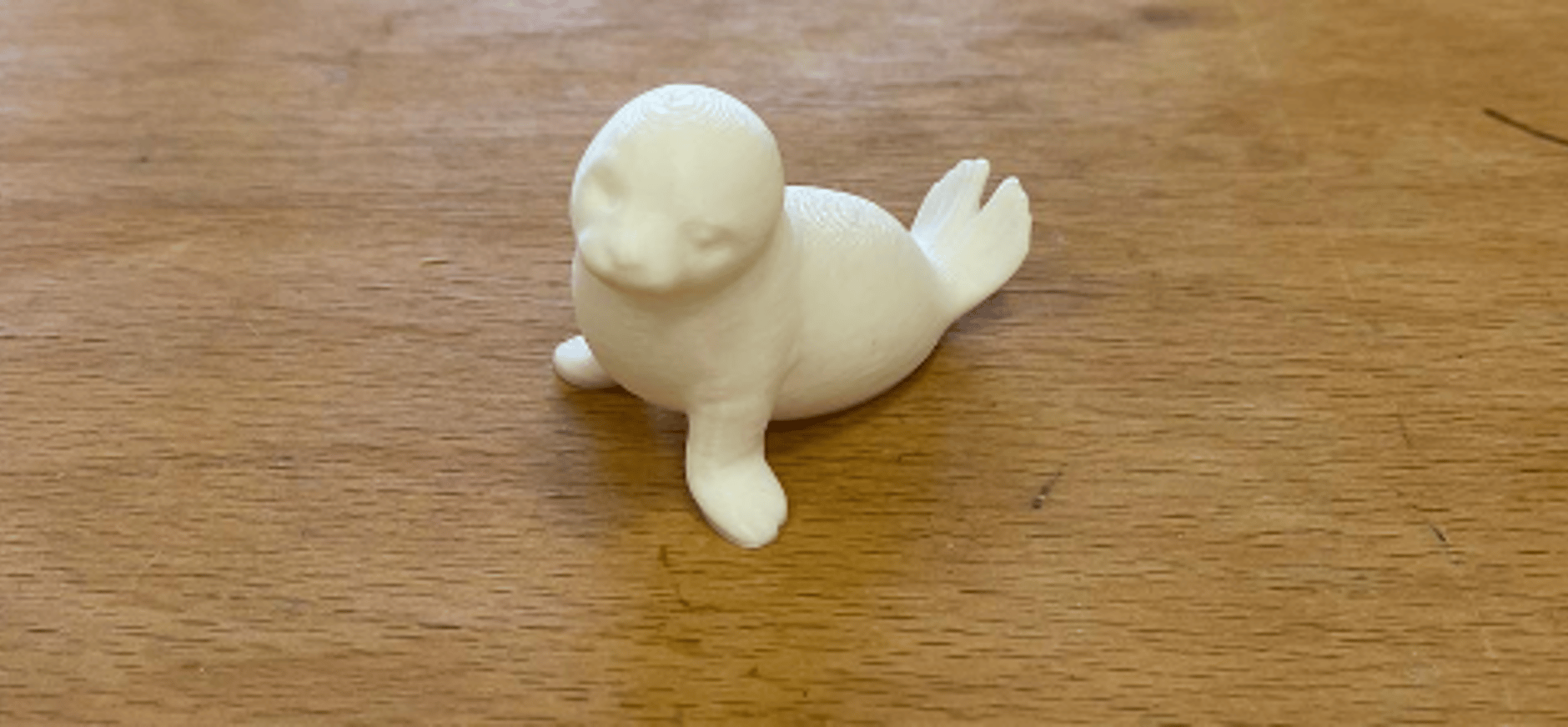 Zeehondje_3d-FREIIA-Natuurmonumenten