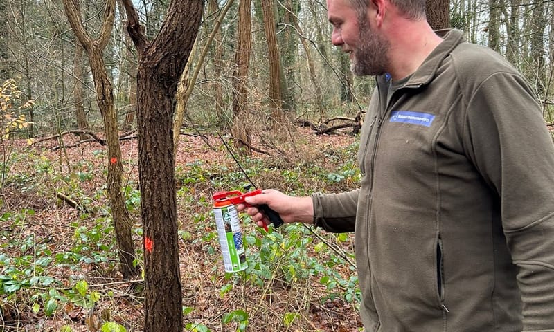 2025 blessen Hassinkbos