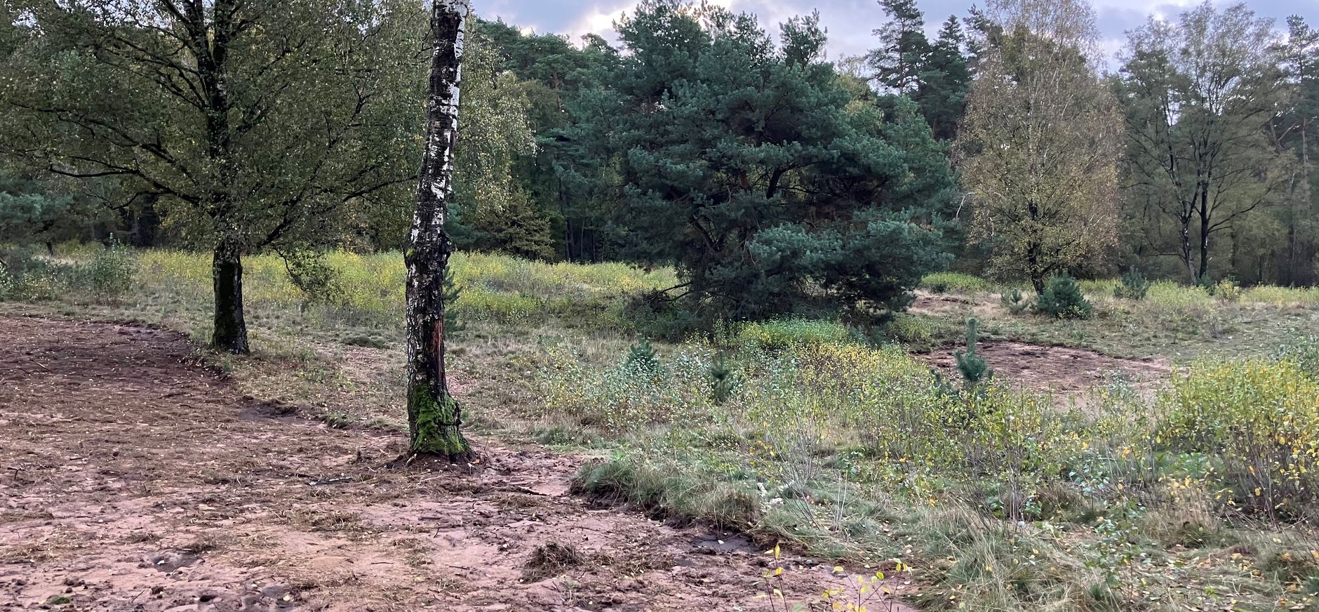 Herstelwerzaamheden reptielencorridor