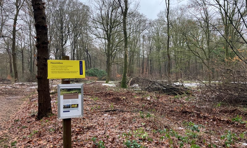 Info A3 Buitenplaatsherstel Hassinkbos