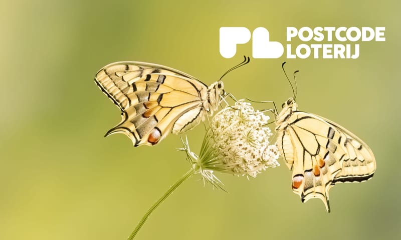 Postcode Loterij