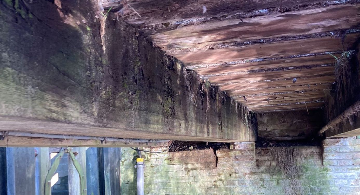 Vrijwilligers werk bij Natuurmonumenten is werken op een fantastische plek met leuke collega's!