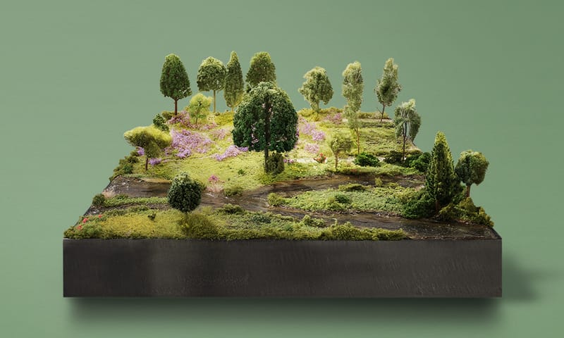 Doneer vierkante meter natuur campagnebeeld 2025