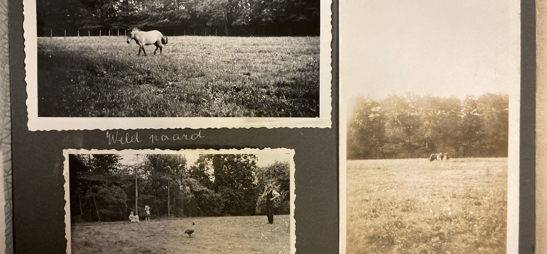 Historisch fotoalbum Gooilust