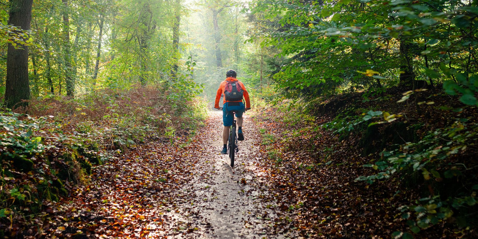 MTB vignet