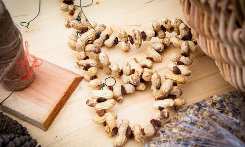 Pindaslinger voor vogels