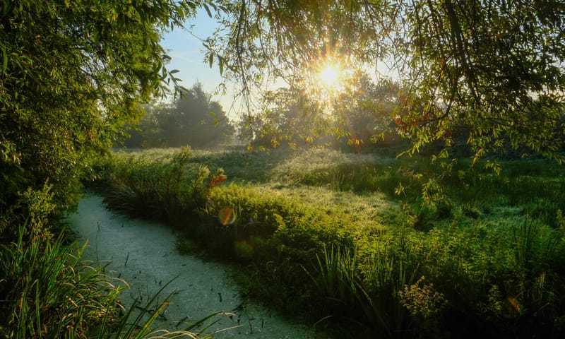 De Tempel op een zomeravond