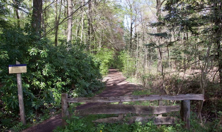 Haagse Bos Haagse Bos
