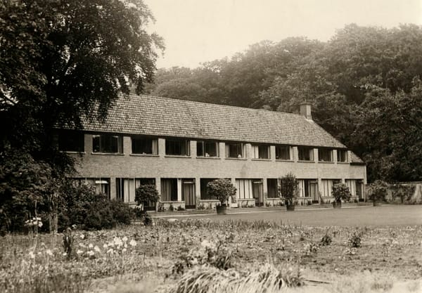 Achterzijde wing