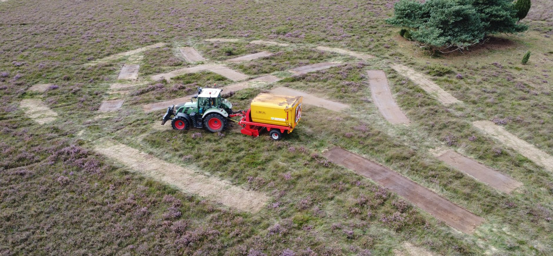 kleinschalig heidebeheer