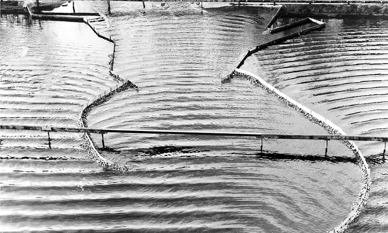 Haven van IJmuiden 1956