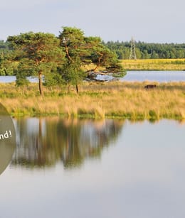 Vennengebied Huis ter heide