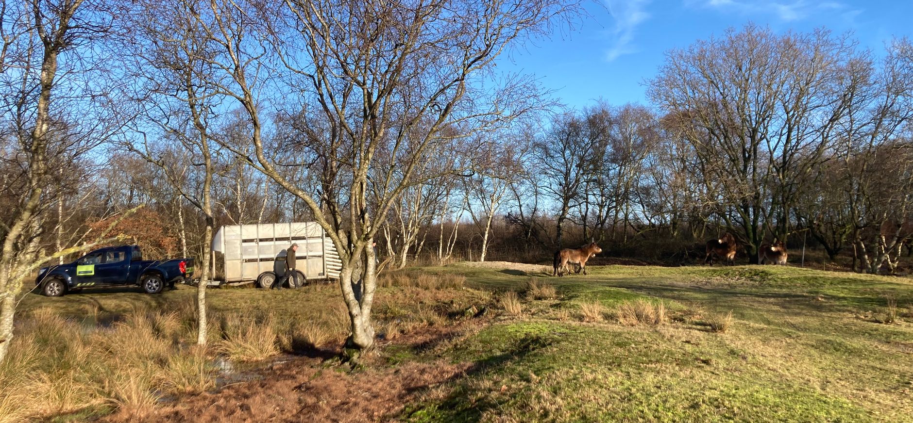 Beheerwerkzaamheden bij het Groene glop