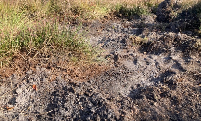 Meer structuur en open plekjes