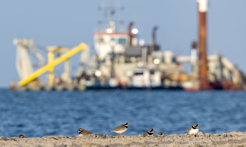 Werkzaamheden Marker Wadden februari 2026