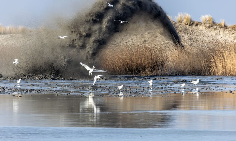 Werkzaamheden Marker Wadden 2026