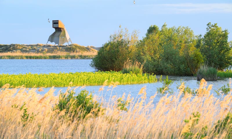 Marker Wadden