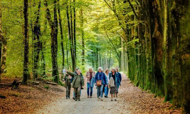 Excursie met gids in het bos