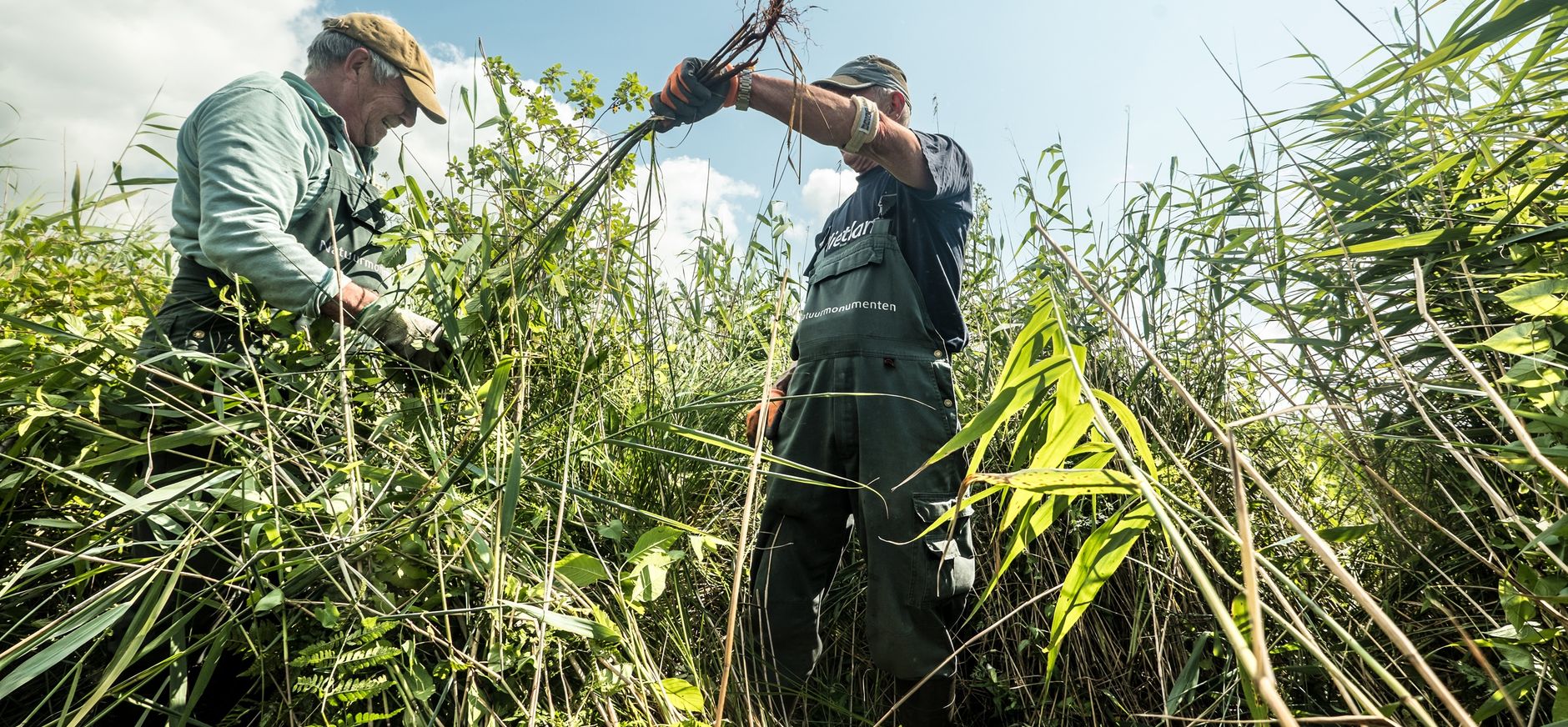 Natuurbeheer vrijwilligers