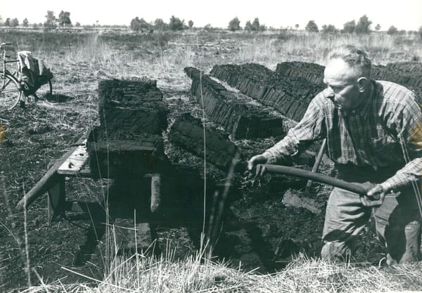 Man steekt turf. Oude foto uit de Peel