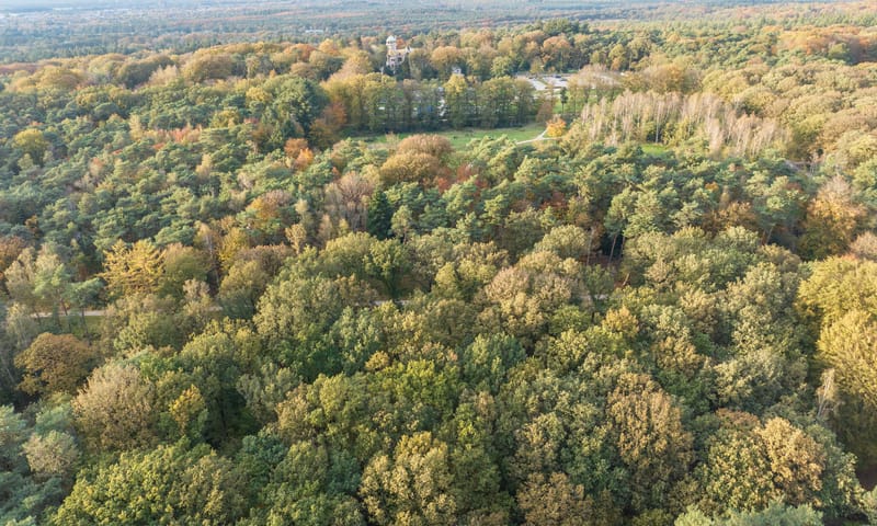 Afbeelding landgoed Mookerheide