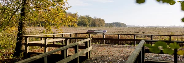 Uitzicht vanaf de vlonder van het Ellersinhuizerveld