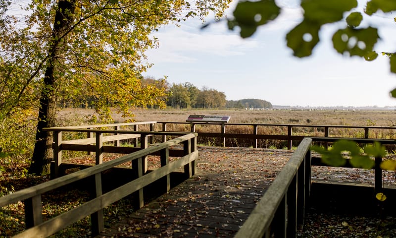 Afbeelding Dal van de Ruiten Aa