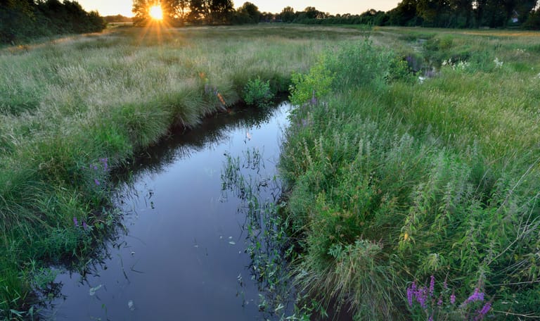 Ondergaande zon op de horizon bij de Ruiten Aa