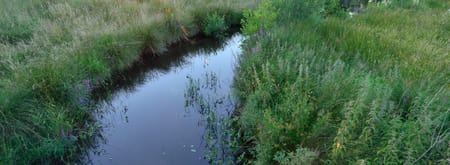 Ondergaande zon op de horizon bij de Ruiten Aa