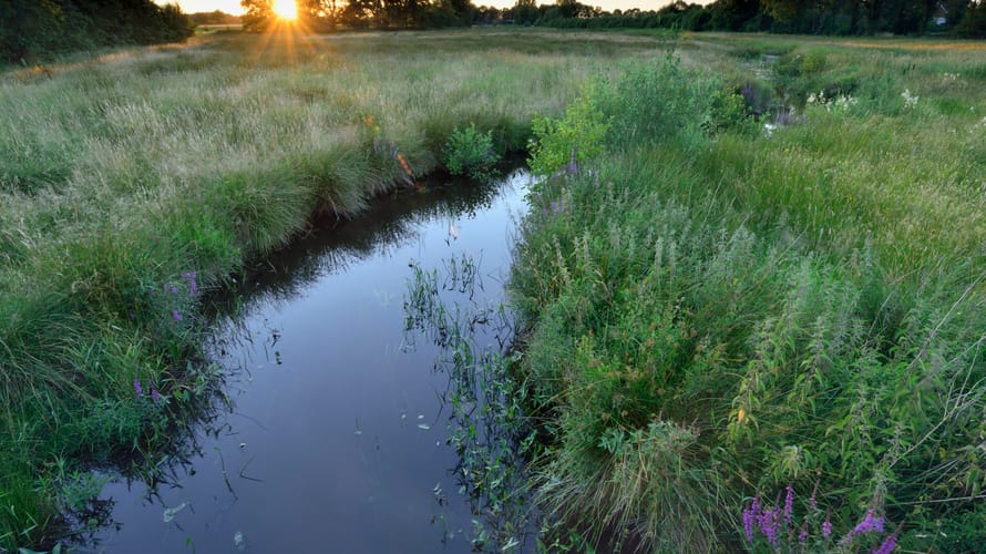 Ondergaande zon op de horizon bij de Ruiten Aa