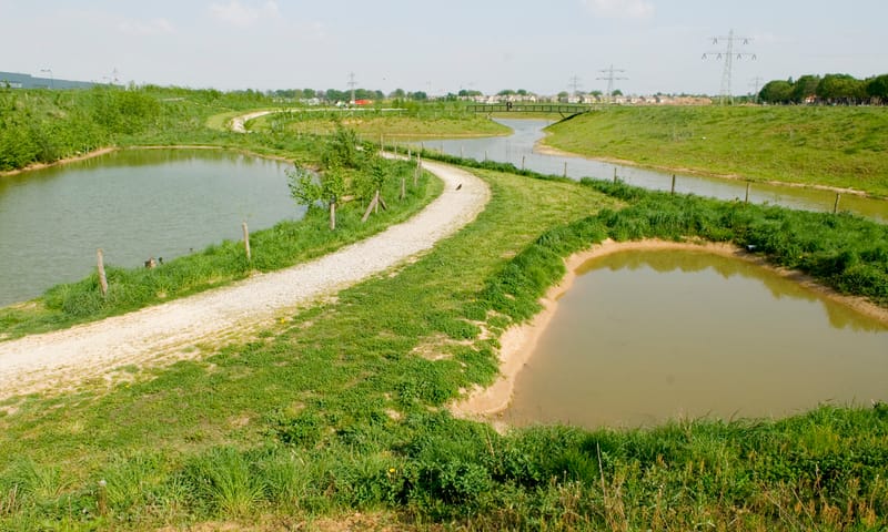 Plassen in Hof van Limburg