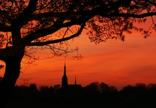 De skyline van De Moer