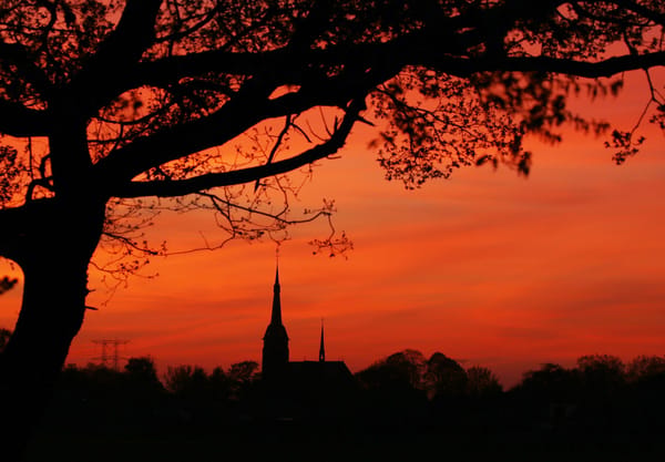 De skyline van De Moer