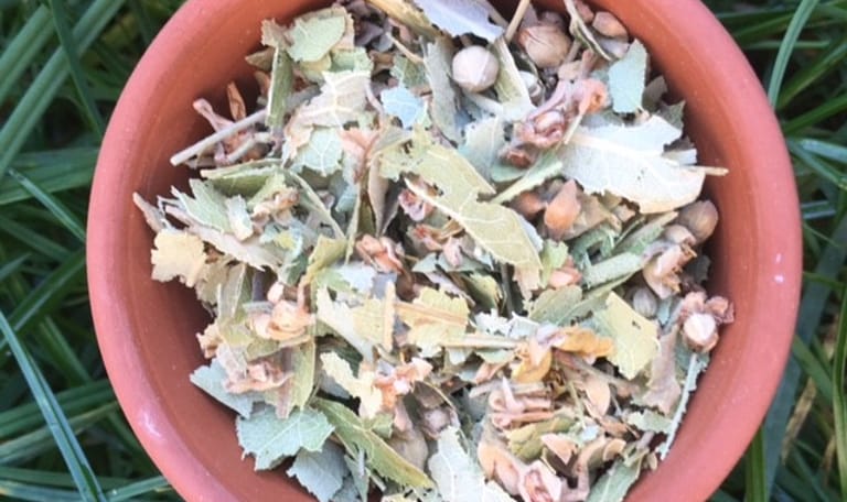 Lindebloesem natuurthee