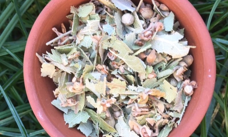 Lindebloesem natuurthee