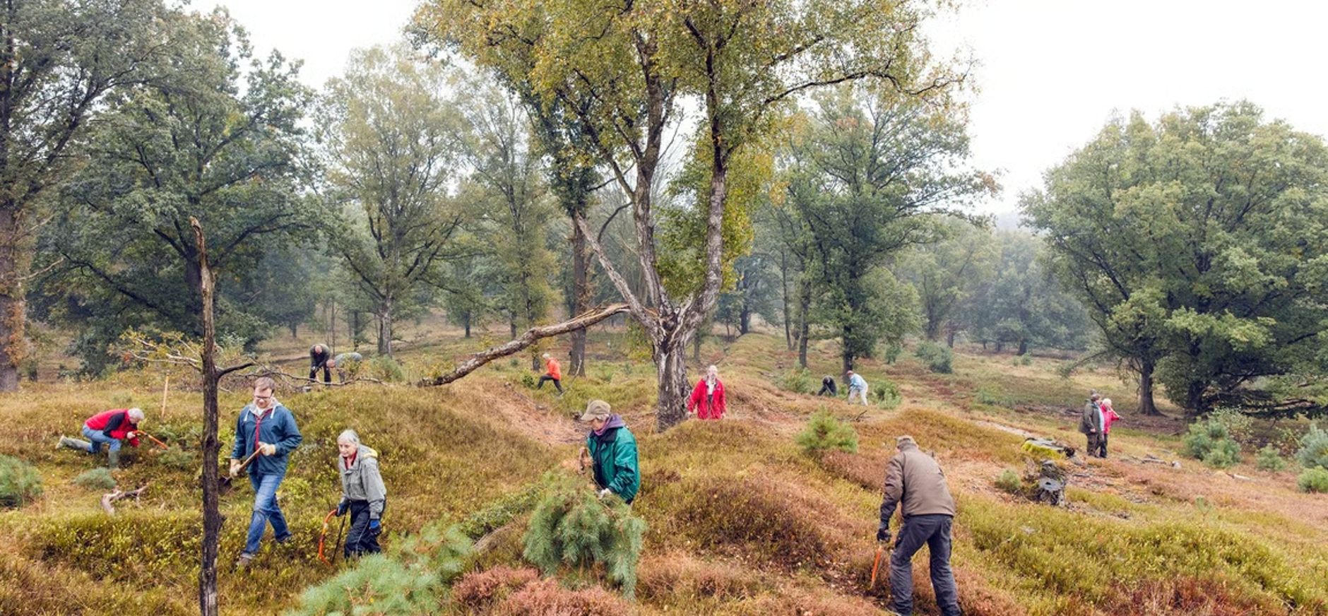 Vrijwilligers in het veld Planken Wambuis