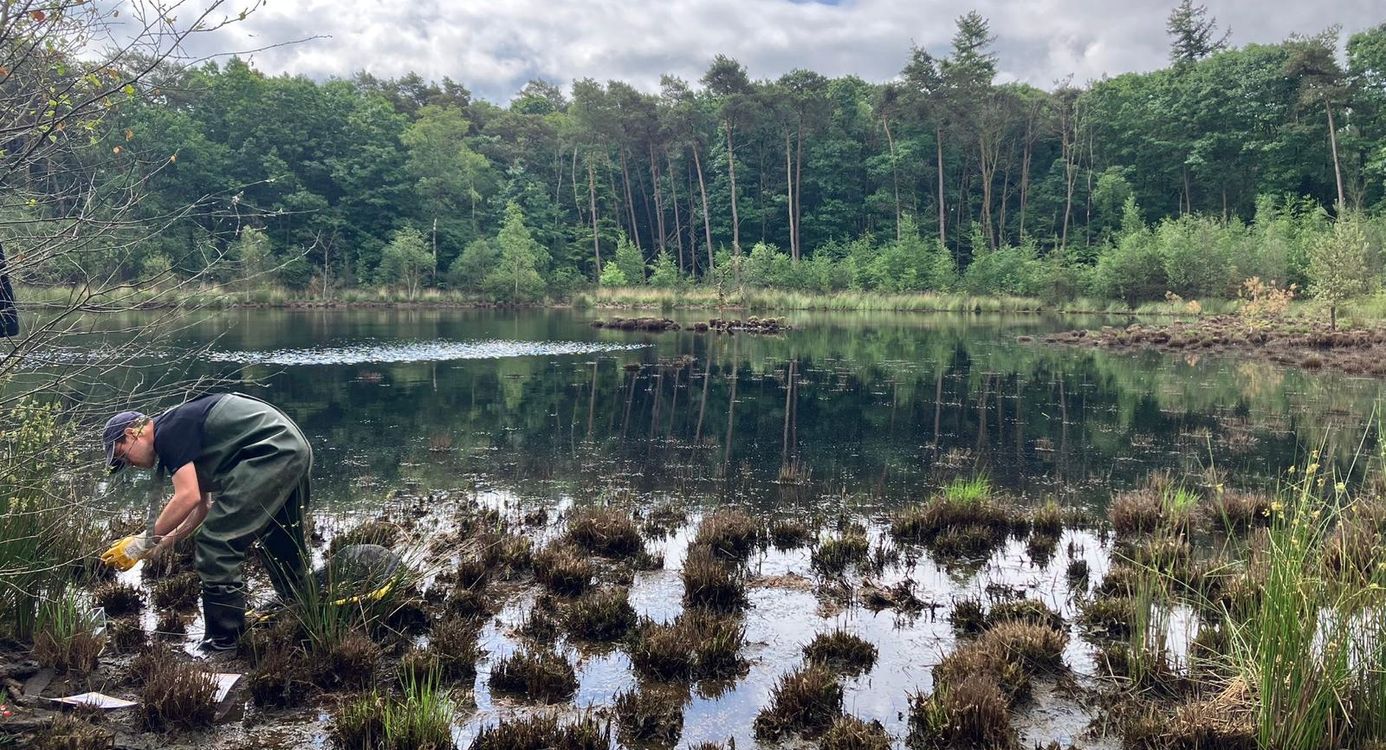 Adamsven bij de Oude Buisse Heide