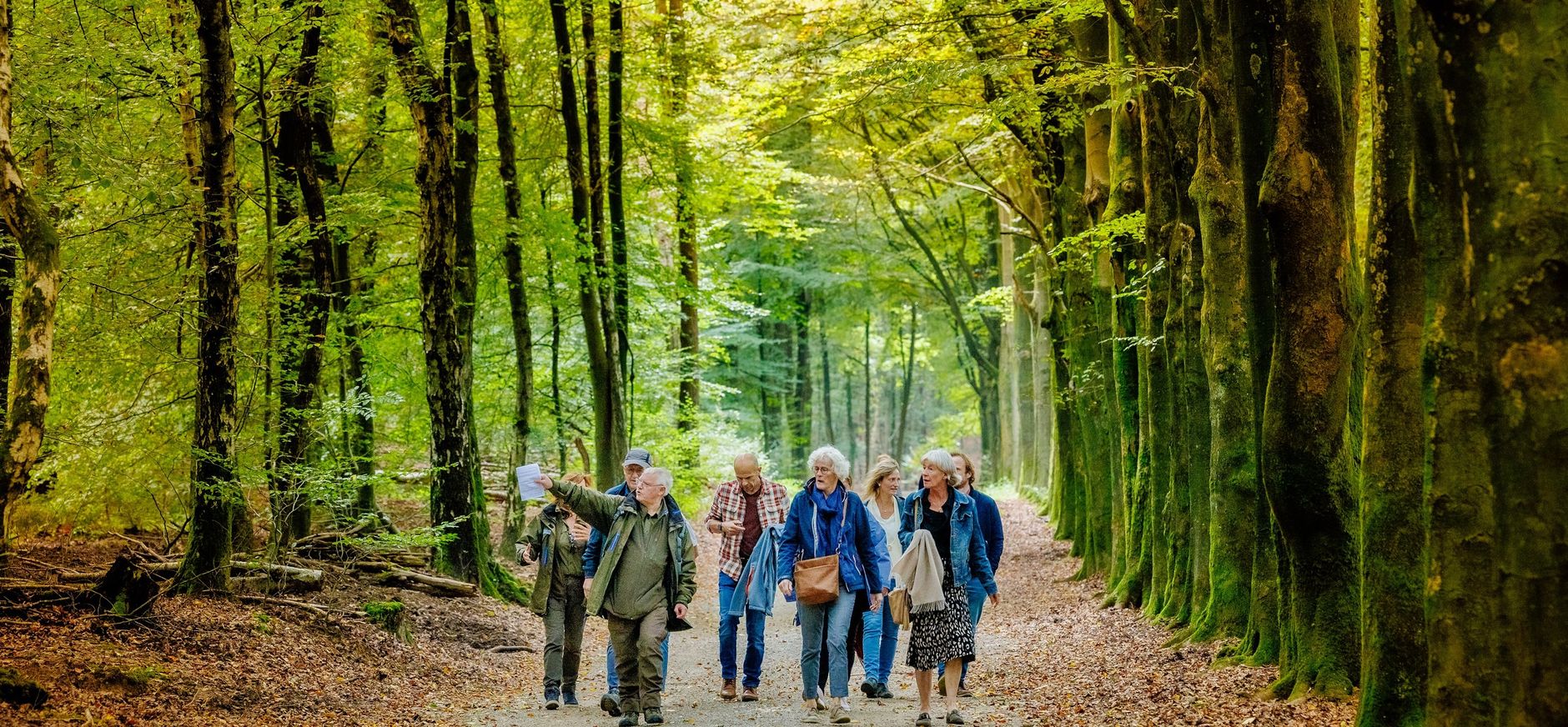 Excursie groep in het bos met gids