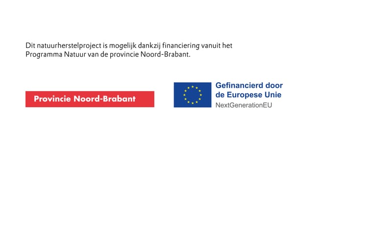 Logo Provincie Noord-Brabant en Europese Unie