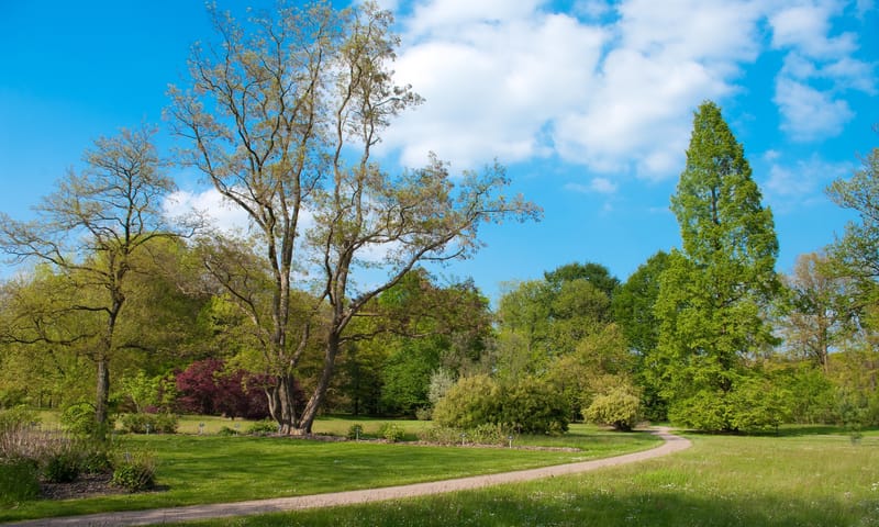 arboretum Poort Bulten