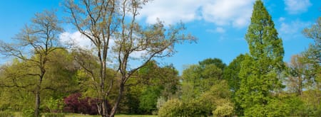 arboretum Poort Bulten