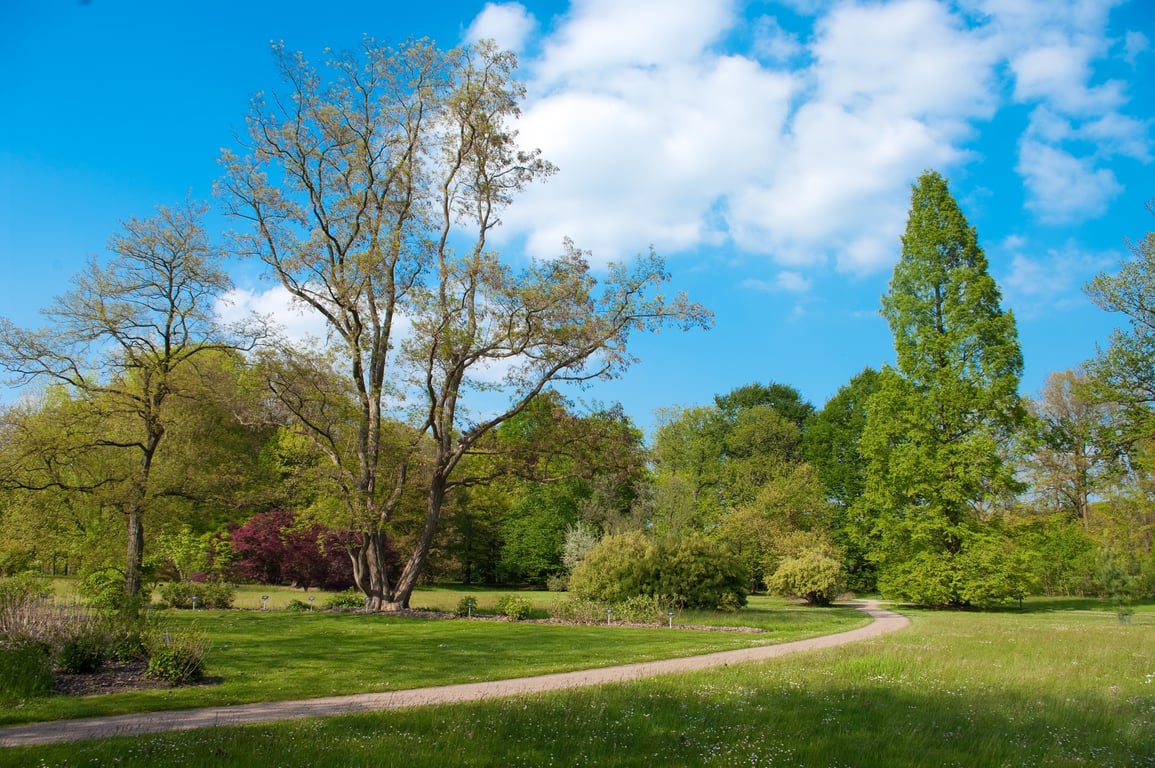 Wandel met gids door arboretum Poort Bulten