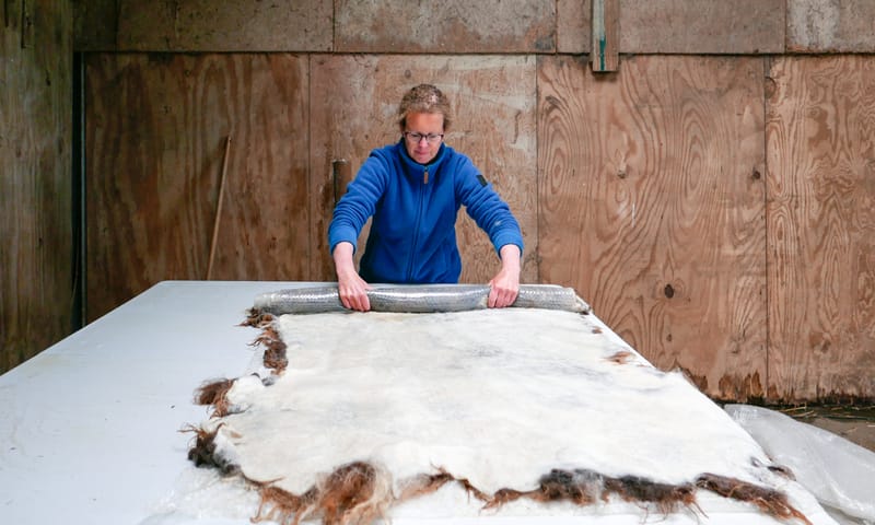 Mooimiek doet voor hoe je een vacht moet rollen.