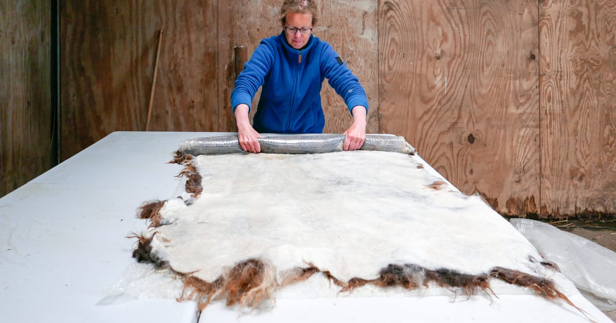 Workshop vachtvilten op De Onlanderij