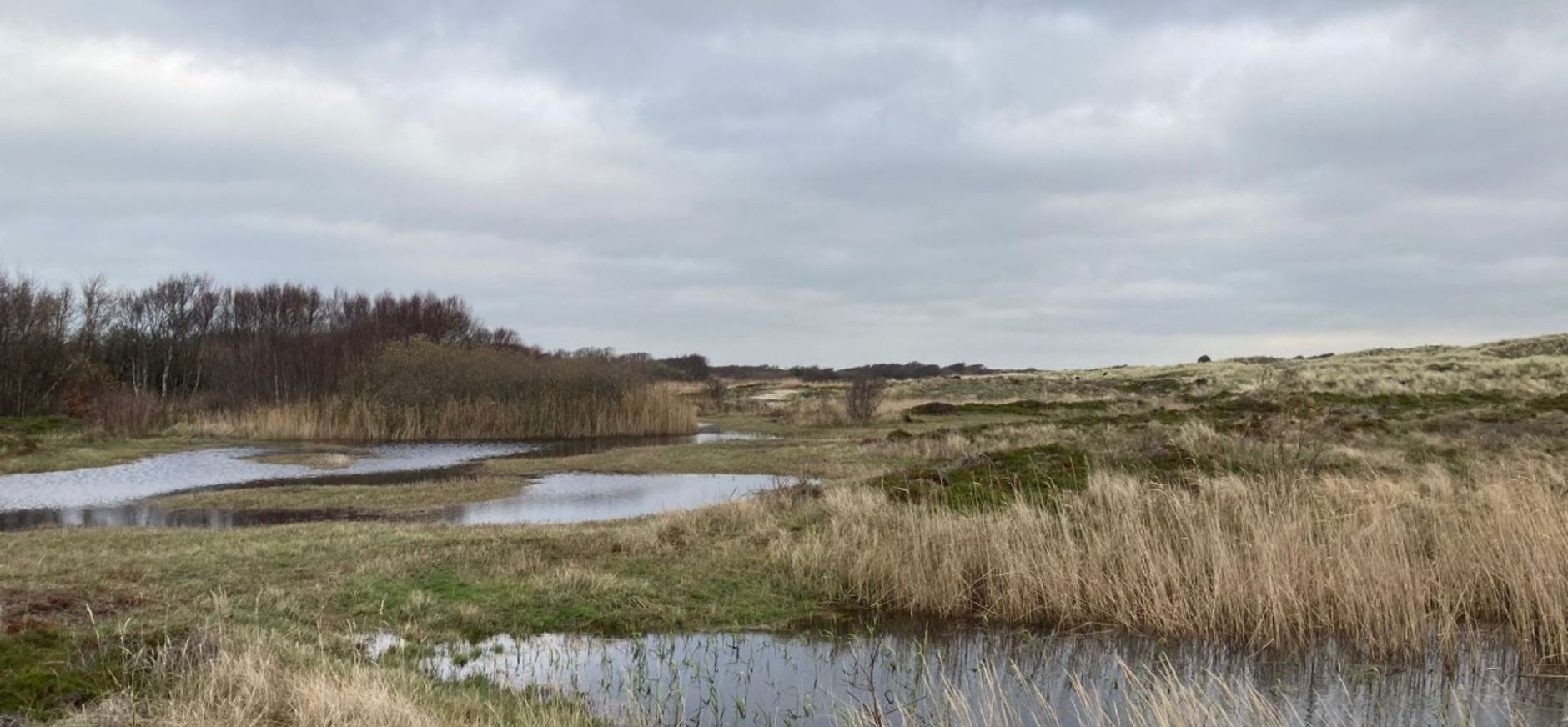 Zwanenwater Zwanenwater